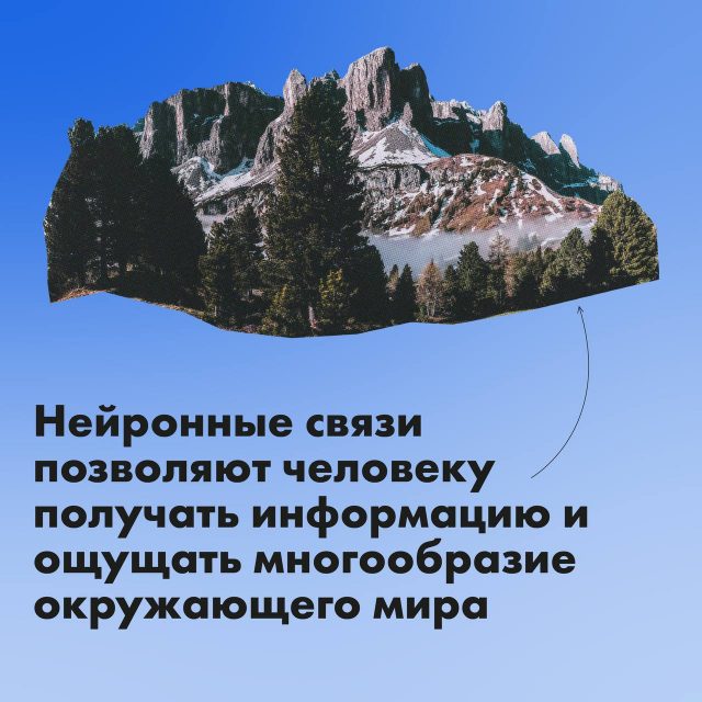 ЦЕРОЗЕЛЬ (СEROZELL) 150 МЛ. Препарат для восстановления нервной системы. — изображение 8